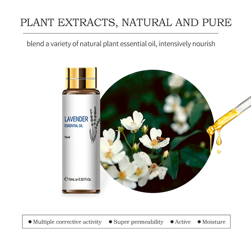 16 PCS 10ML Essential Oils Set,  Pure Lavender, Eucalyptus, Vanilla,  Jasmine, Mint, Rose Oil for Diffuser, Humidifier, Candles